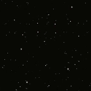 Meet your Posher, Omar